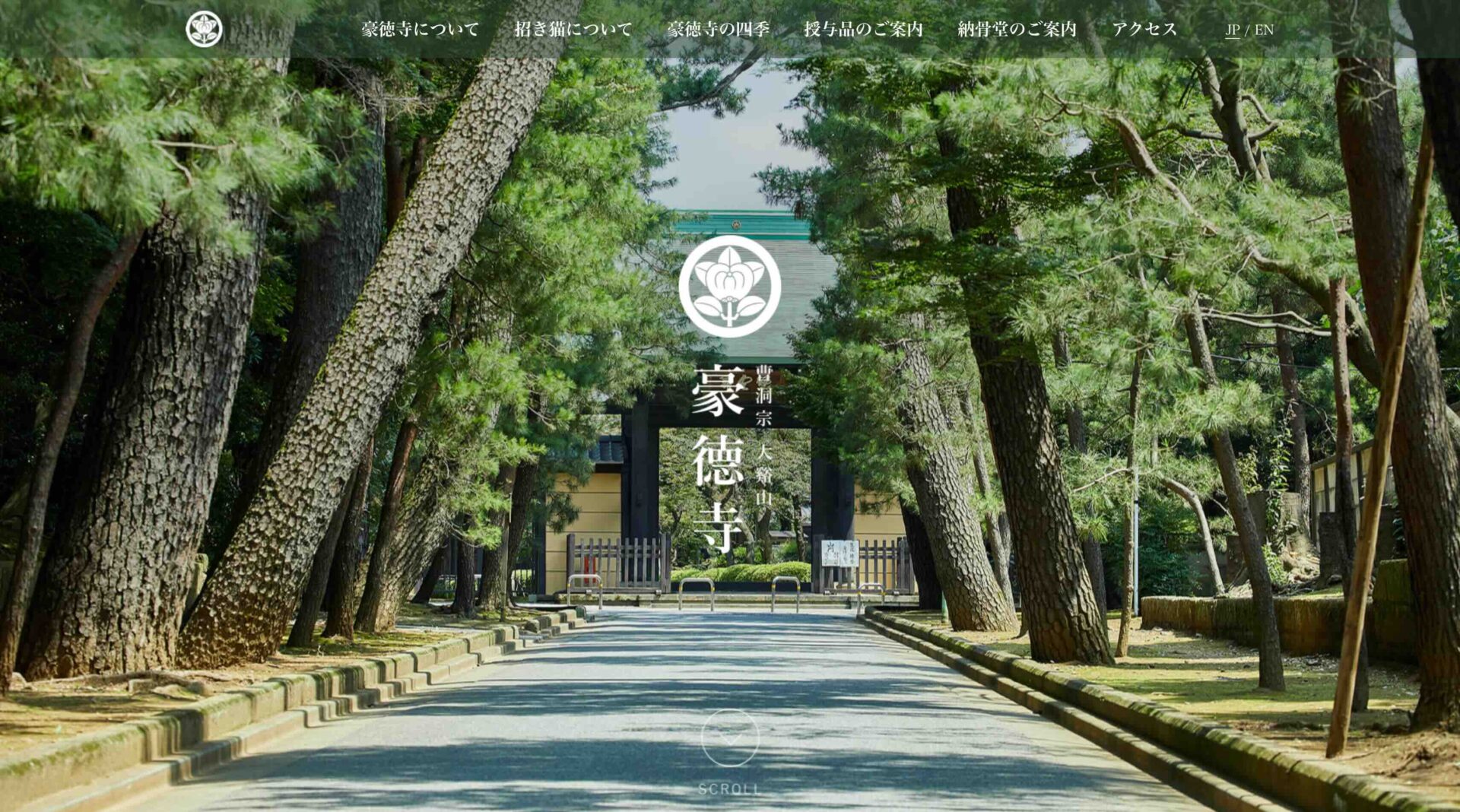 豪徳寺のアイキャッチ画像