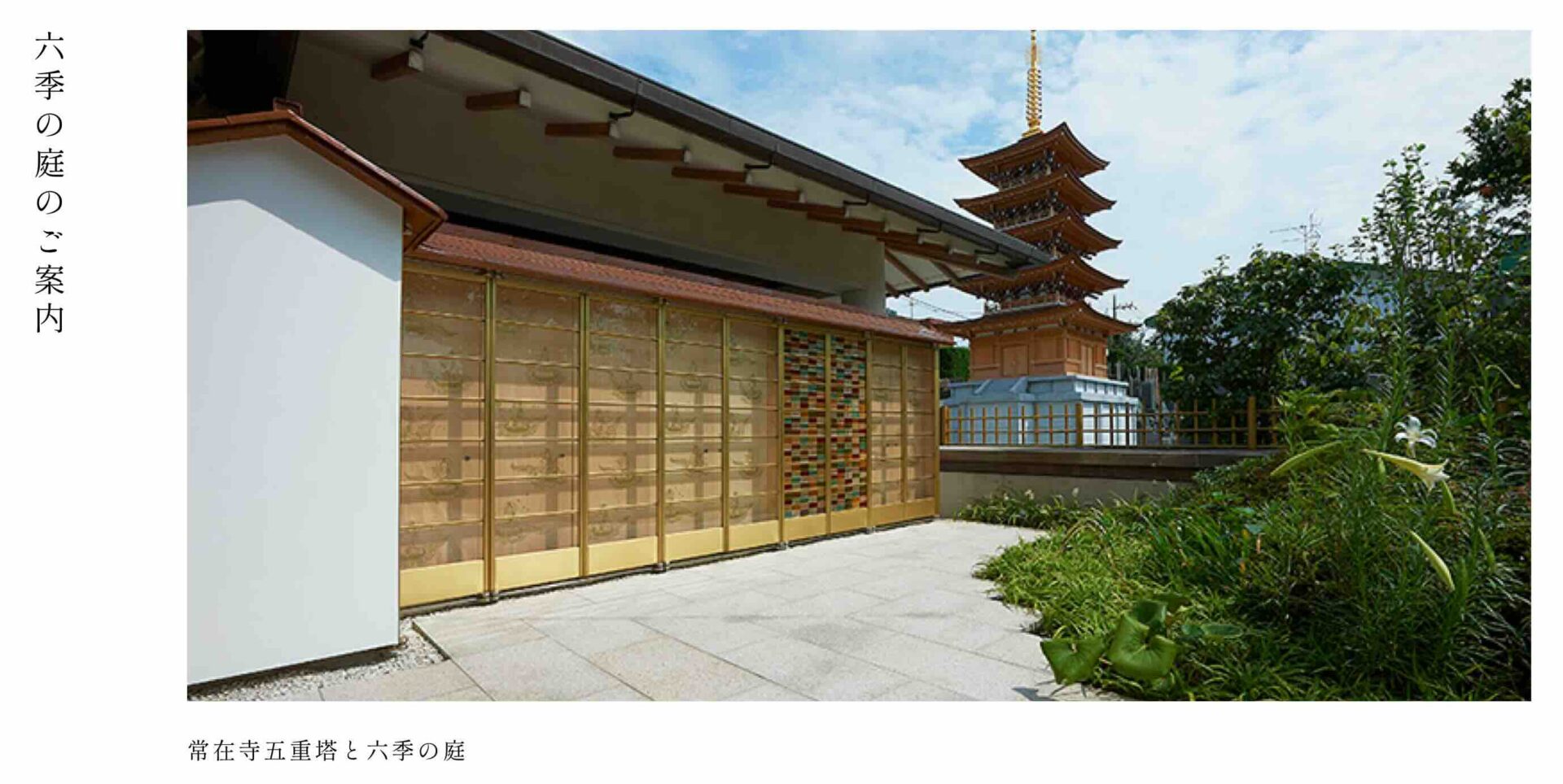 寶樹山 常在寺の画像4